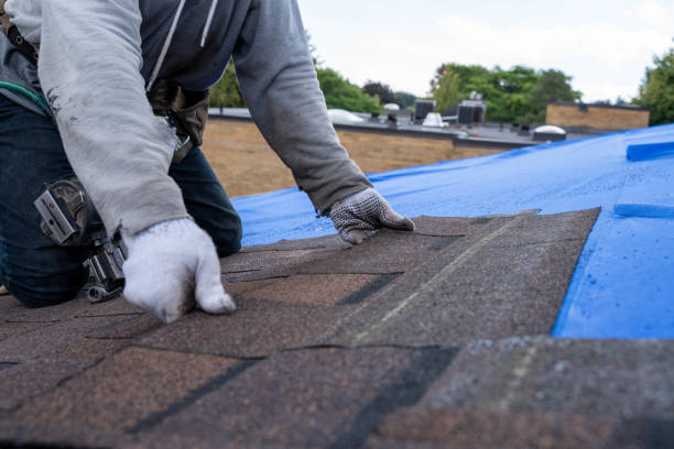 Best Roof Gutter Cleaning  in Stansberry Lake, WA